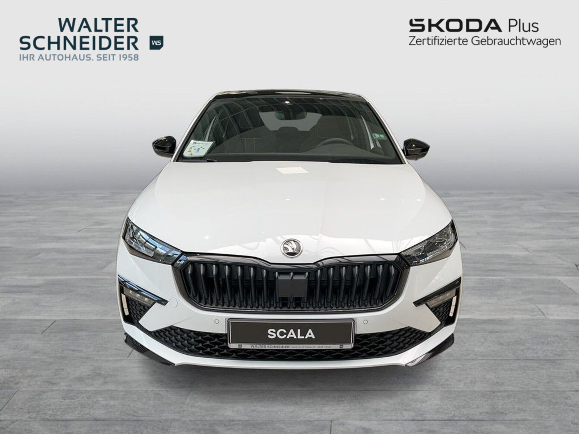 Skoda Scala Monte Carlo