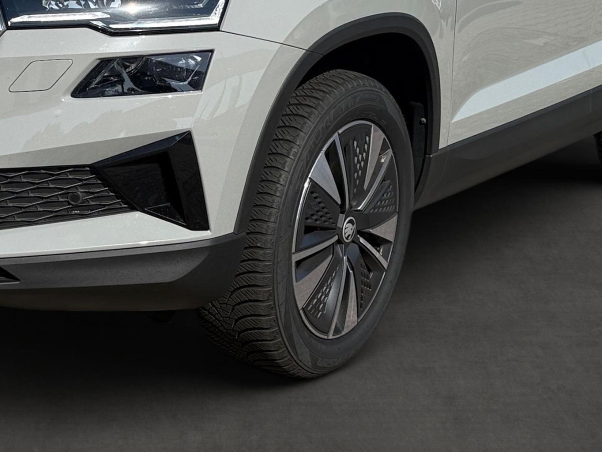 Skoda Karoq Selection