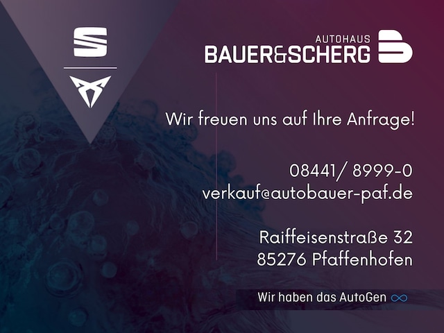 Bild des Autos 13