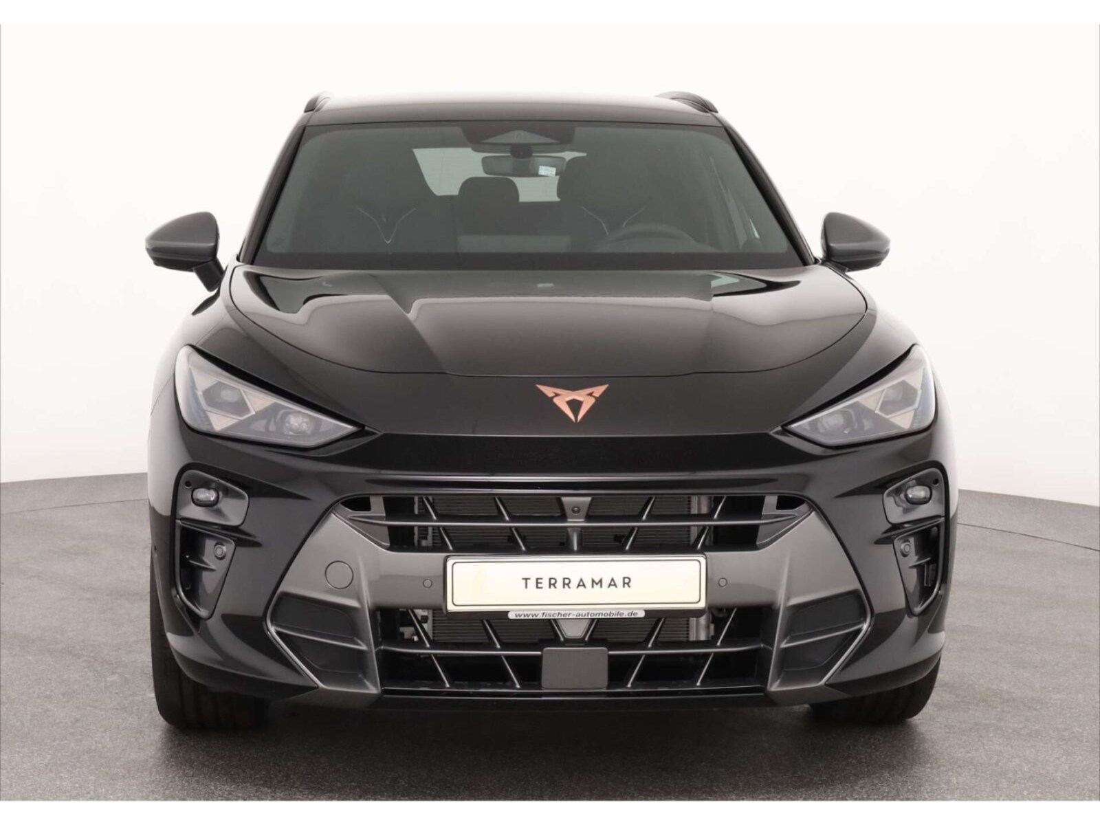 CUPRA Terramar – Bild 2