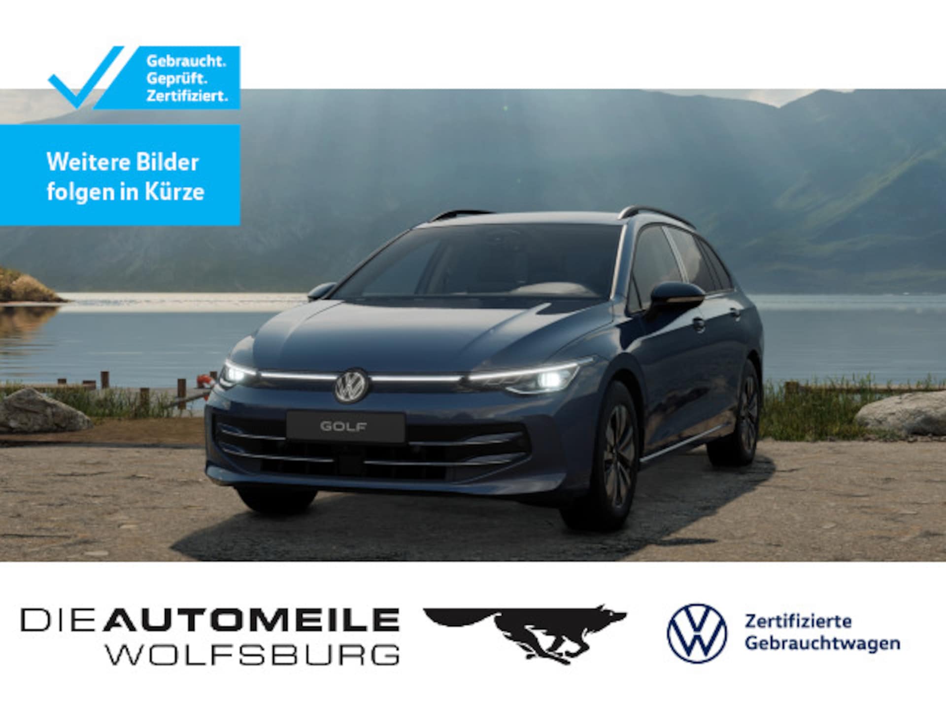 Volkswagen Golf Variant Goal