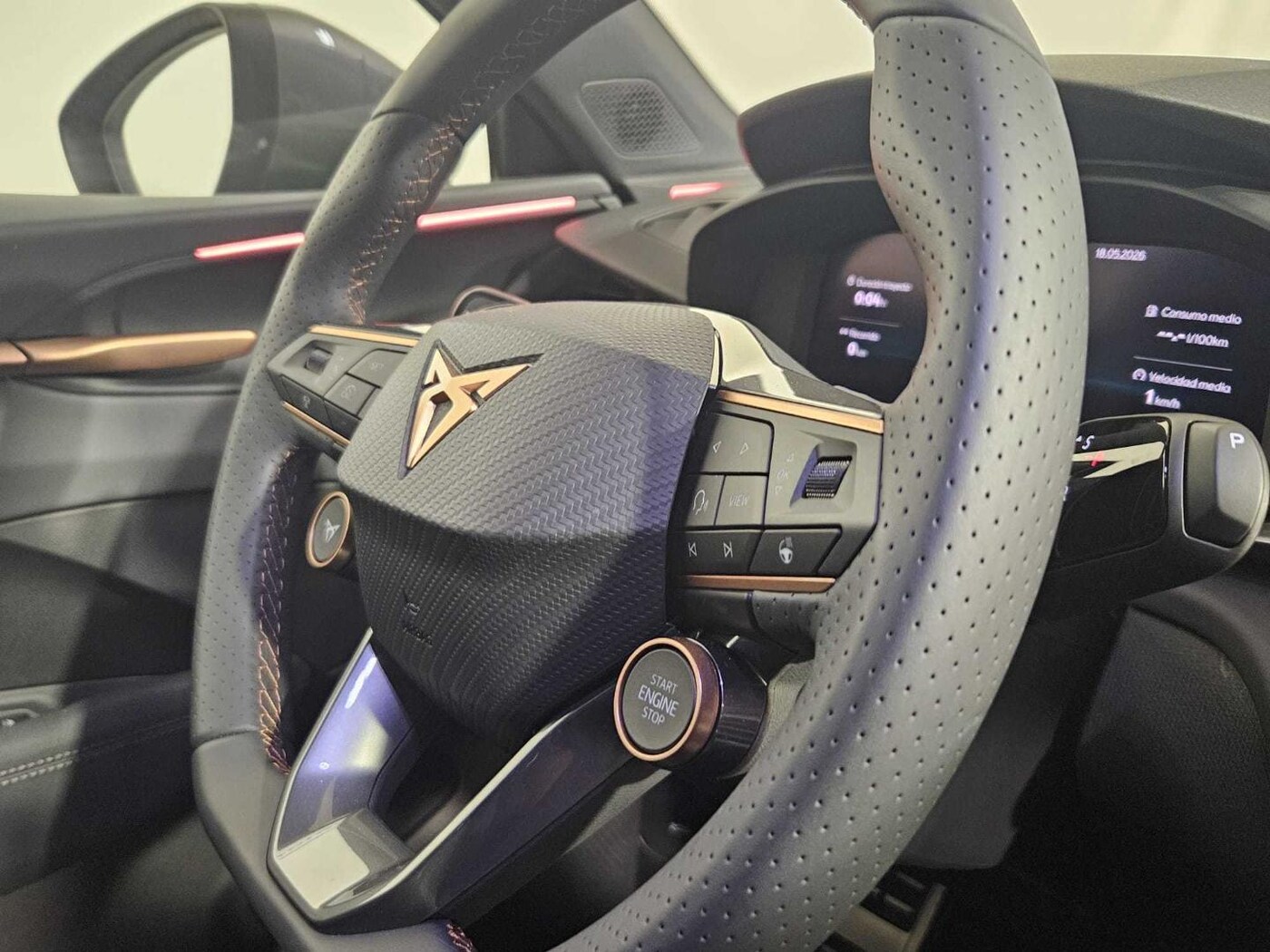 CUPRA Terramar 1.5 eTSI DSG 110 kW (150 CV) — photo 12