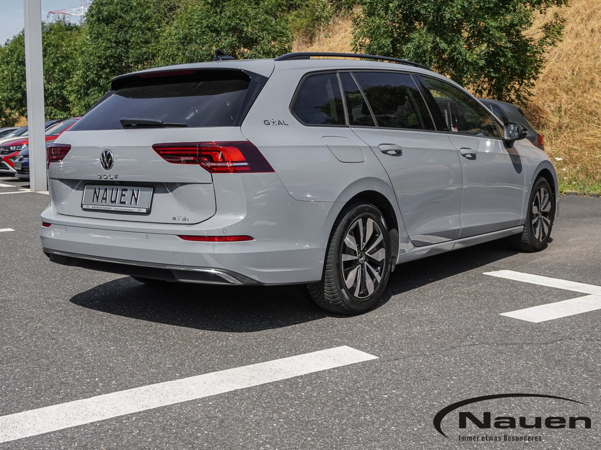Volkswagen Golf Variant Goal