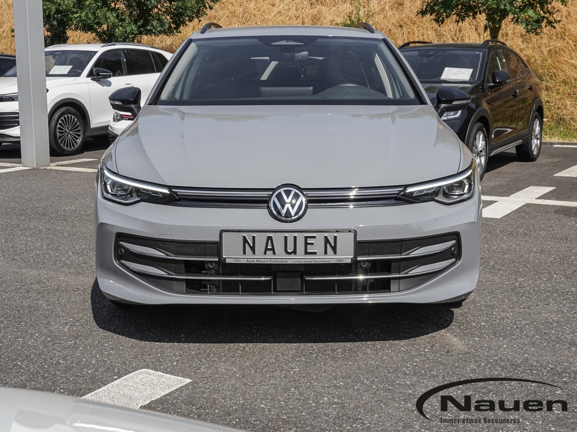 Volkswagen Golf Variant Goal