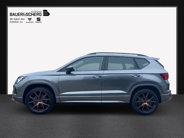 Bild des Autos 2