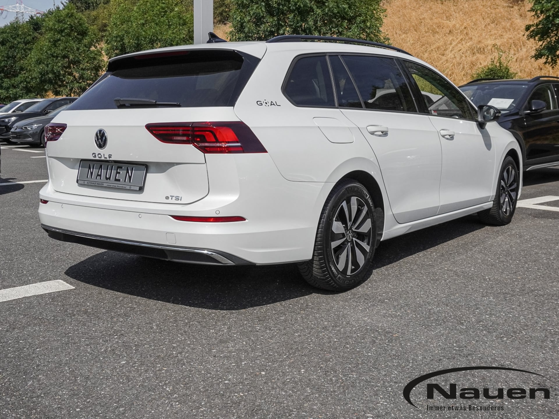 Volkswagen Golf Variant Goal