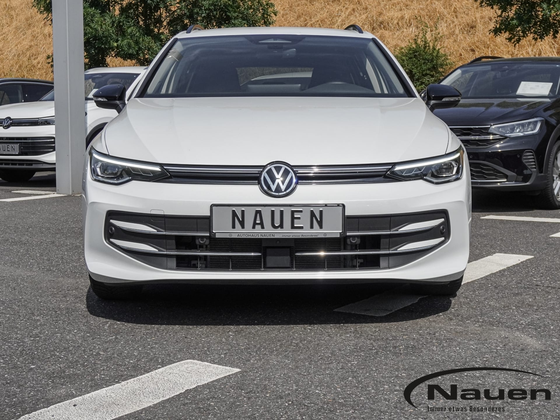 Volkswagen Golf Variant Goal