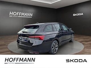zweites Vorschaubild