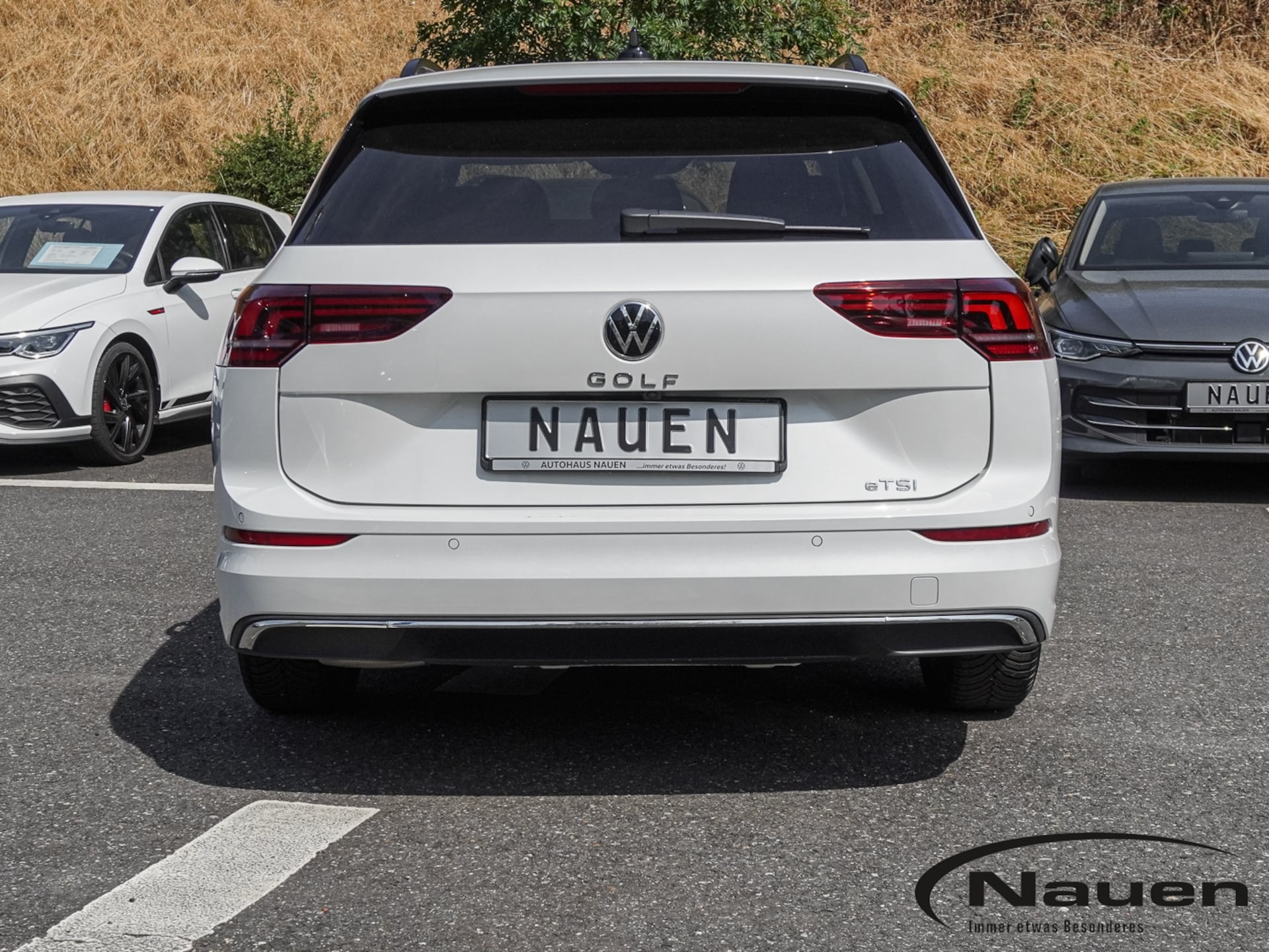 Volkswagen Golf Variant Goal