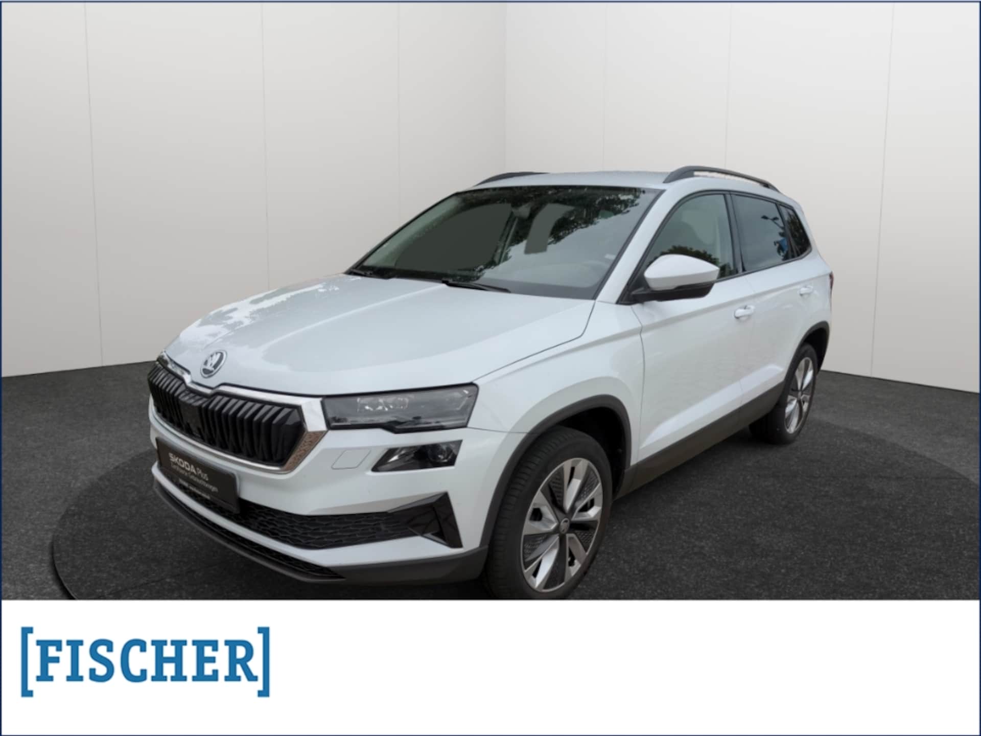 Skoda Karoq Style