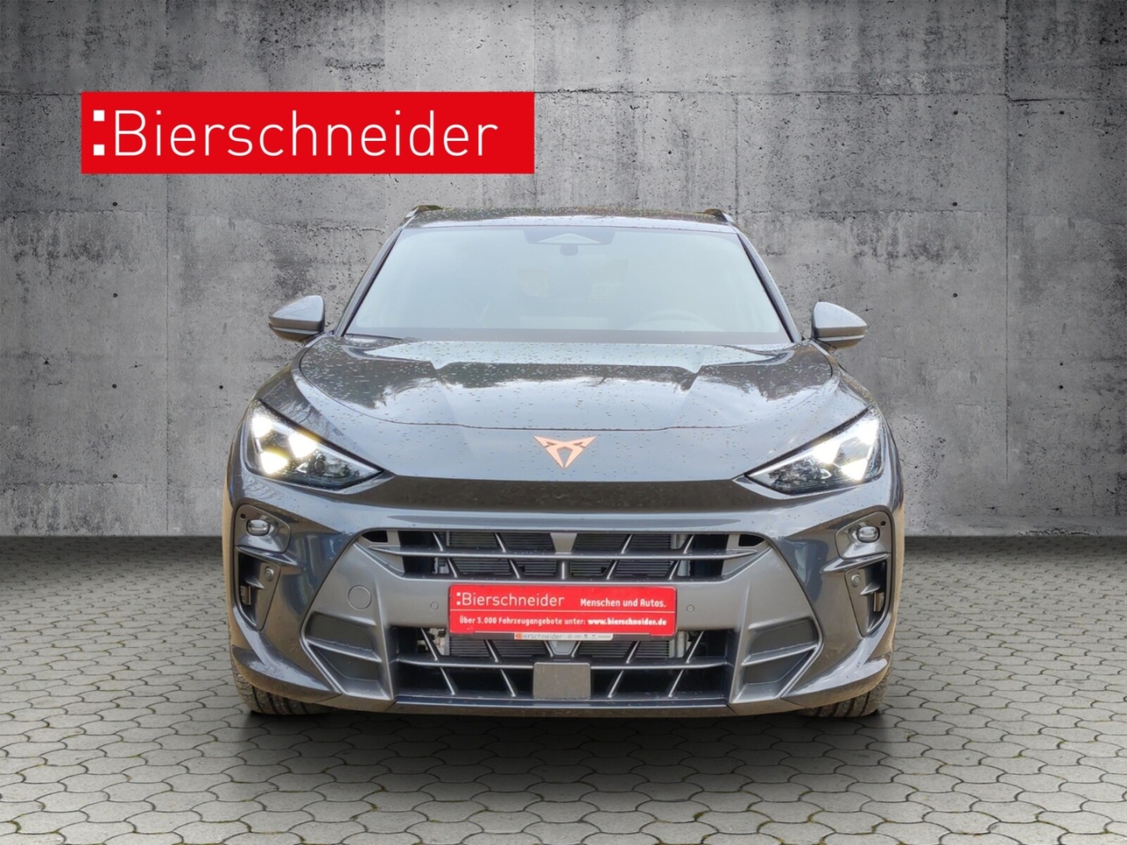 CUPRA Terramar – Bild 4