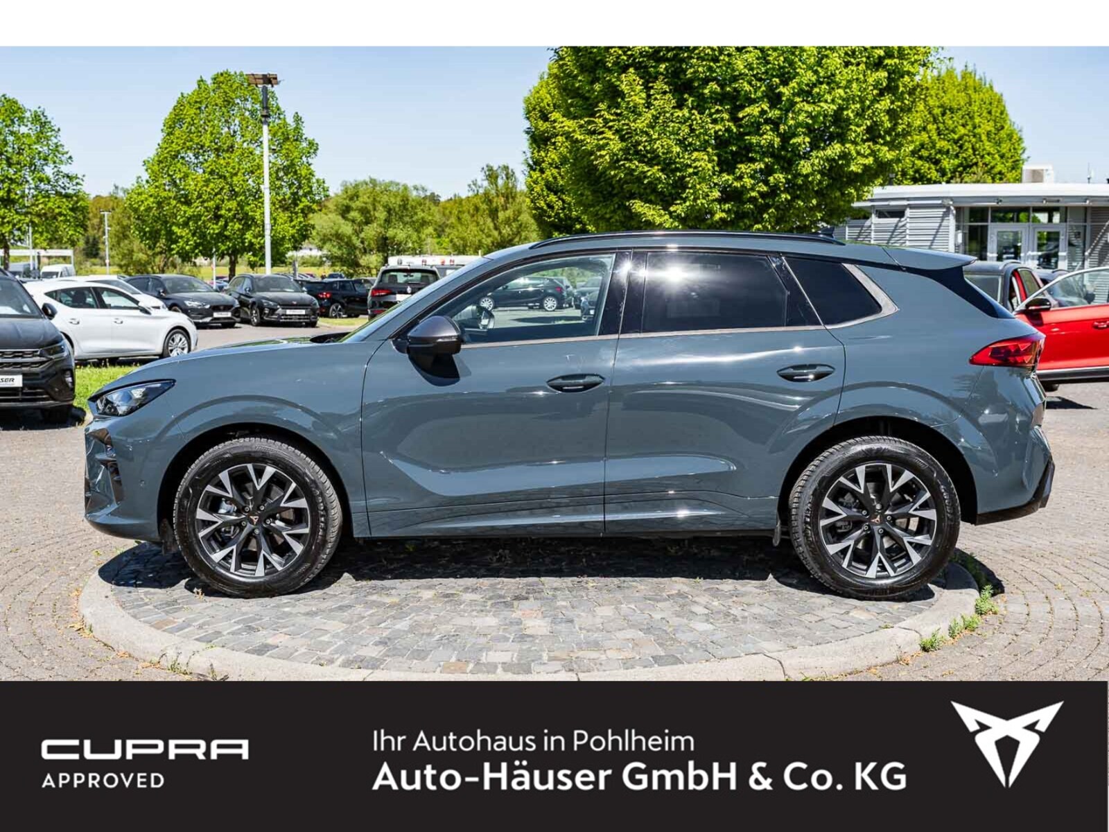 CUPRA Terramar – Bild 2