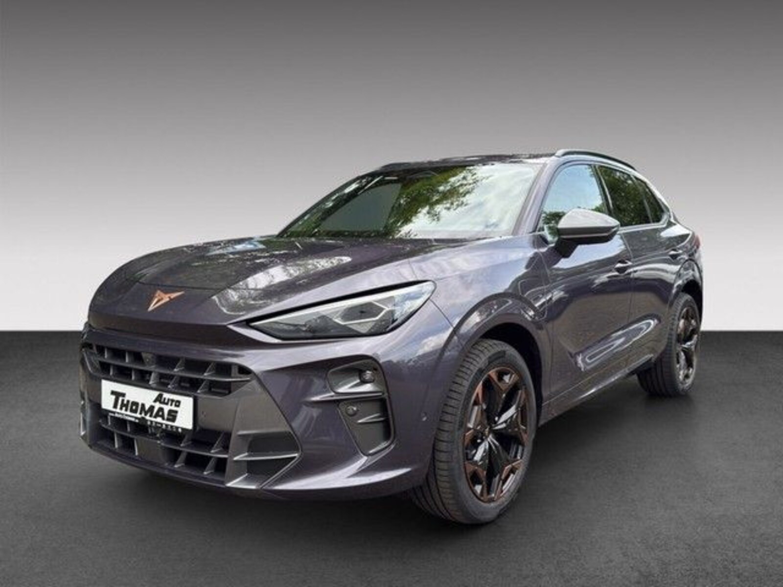 CUPRA Terramar – Bild 3