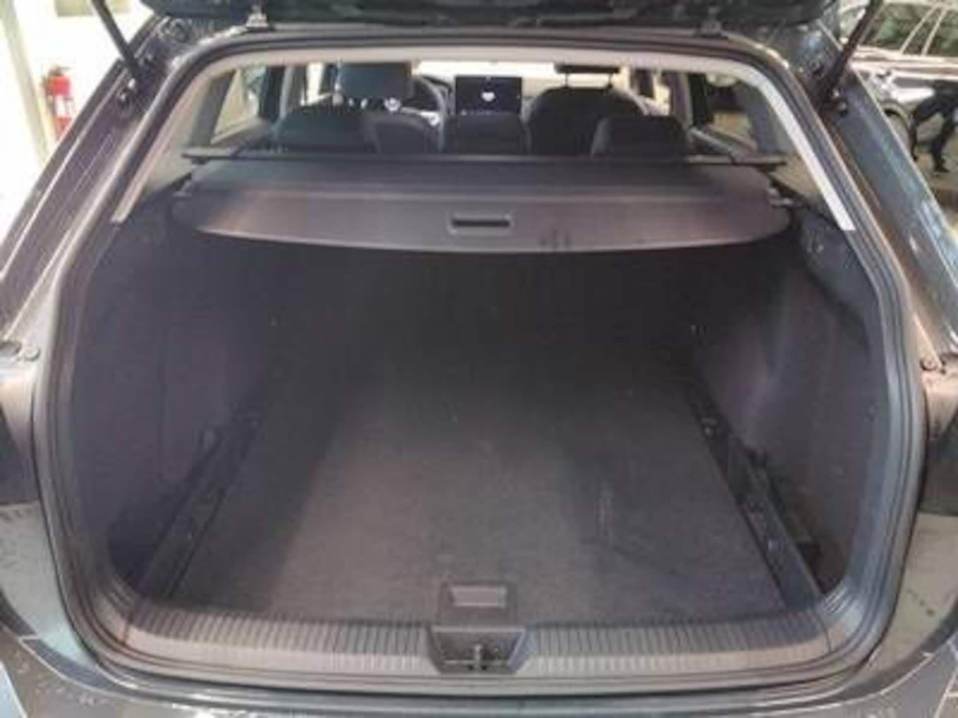 Volkswagen Golf Variant Goal
