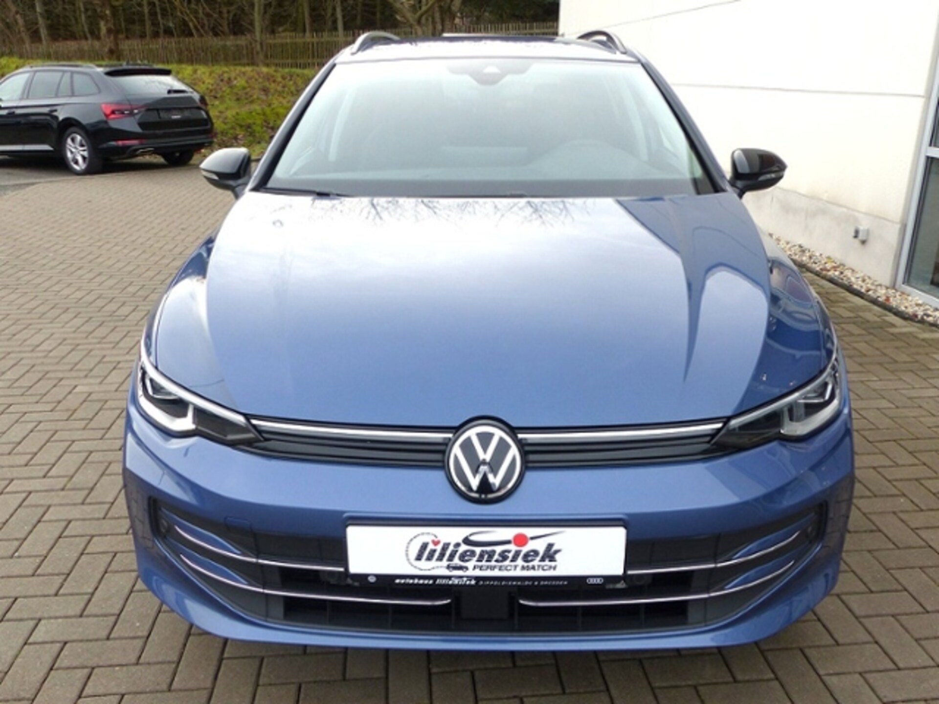 Volkswagen Golf Variant Goal