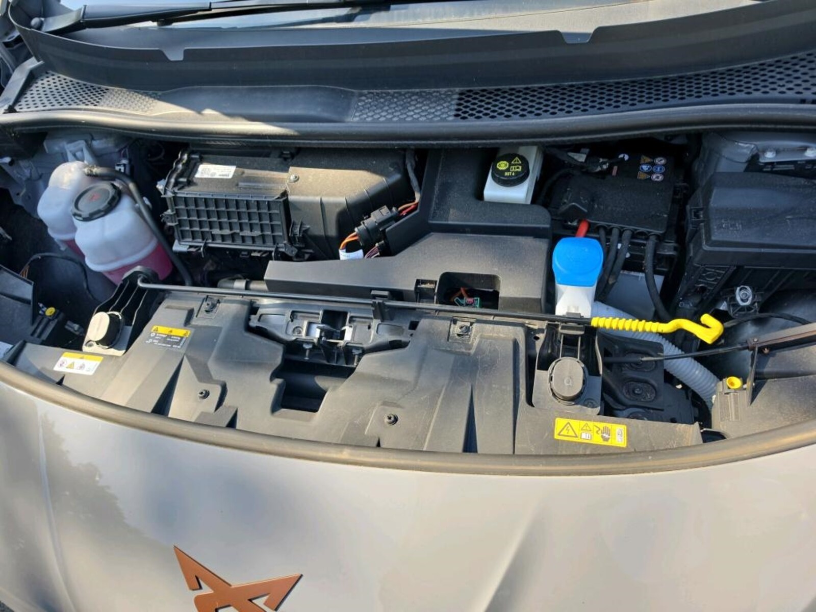 CUPRA Born – Bild 13