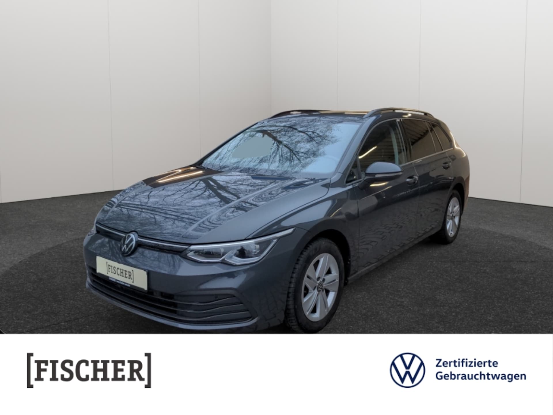 Volkswagen Golf Variant Life