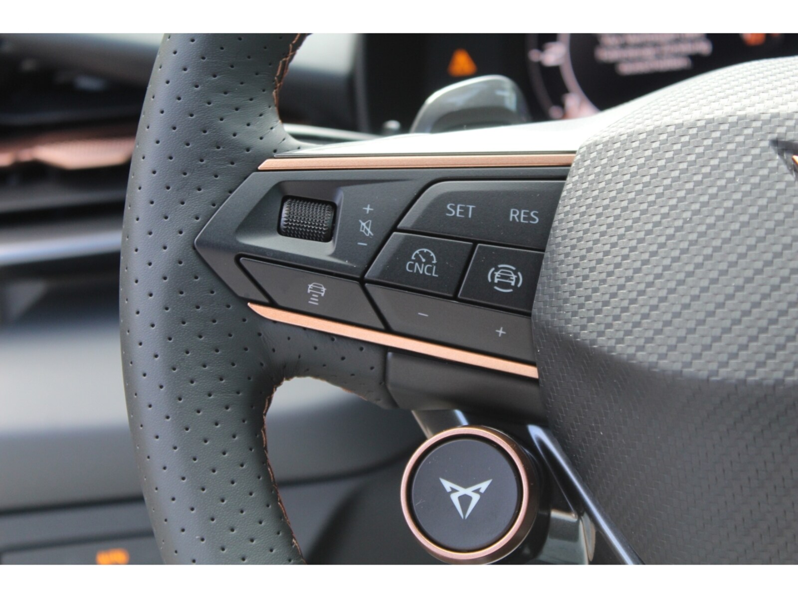 CUPRA Terramar – Bild 13