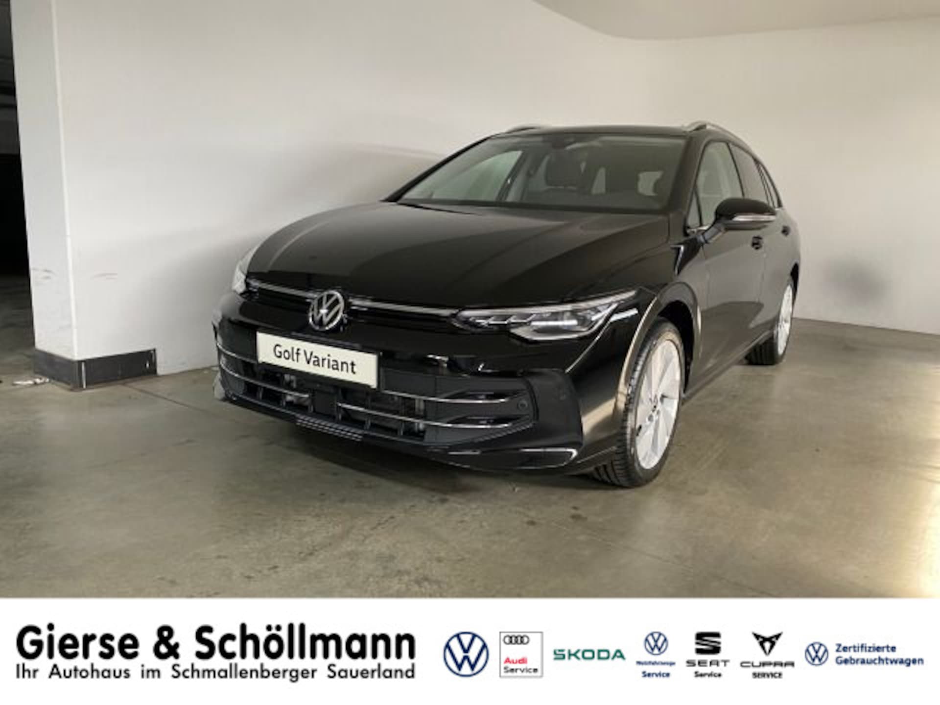 Volkswagen Golf Variant Style