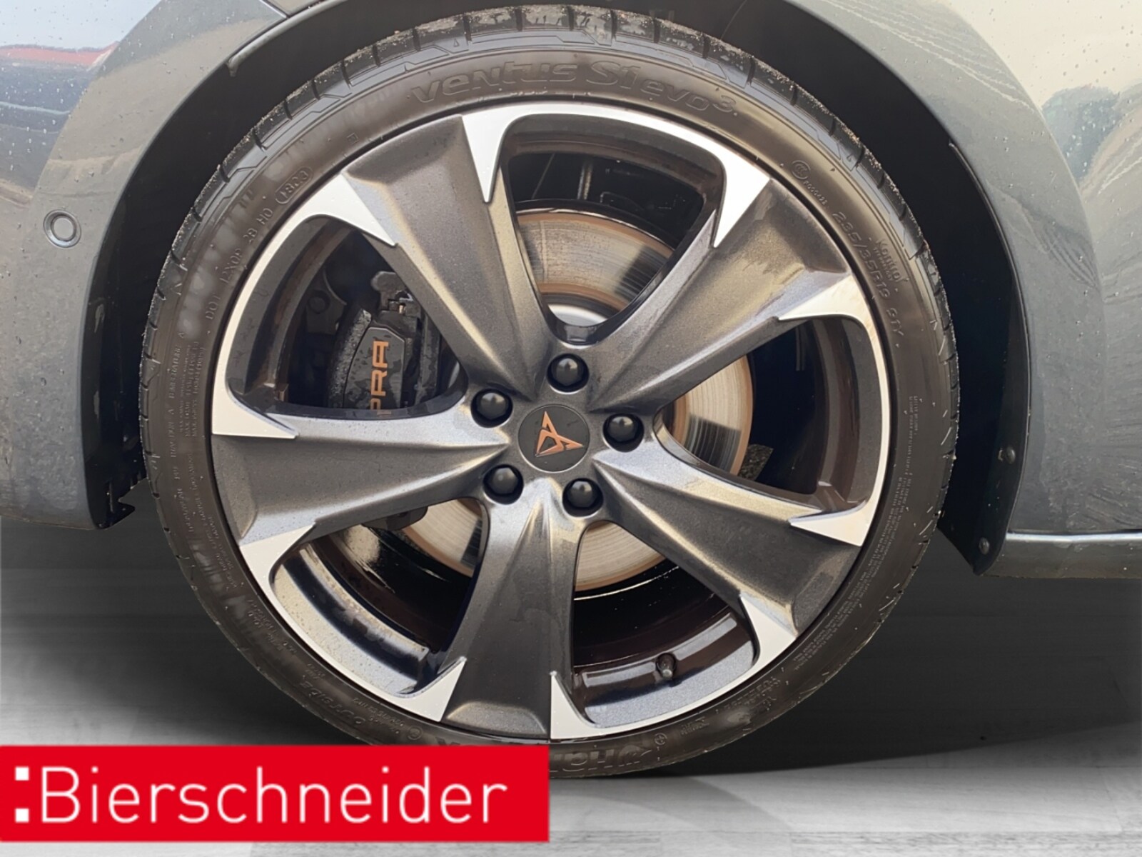 CUPRA Leon – Bild 9