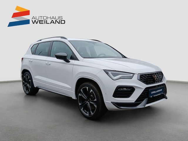 Bild des Autos 8