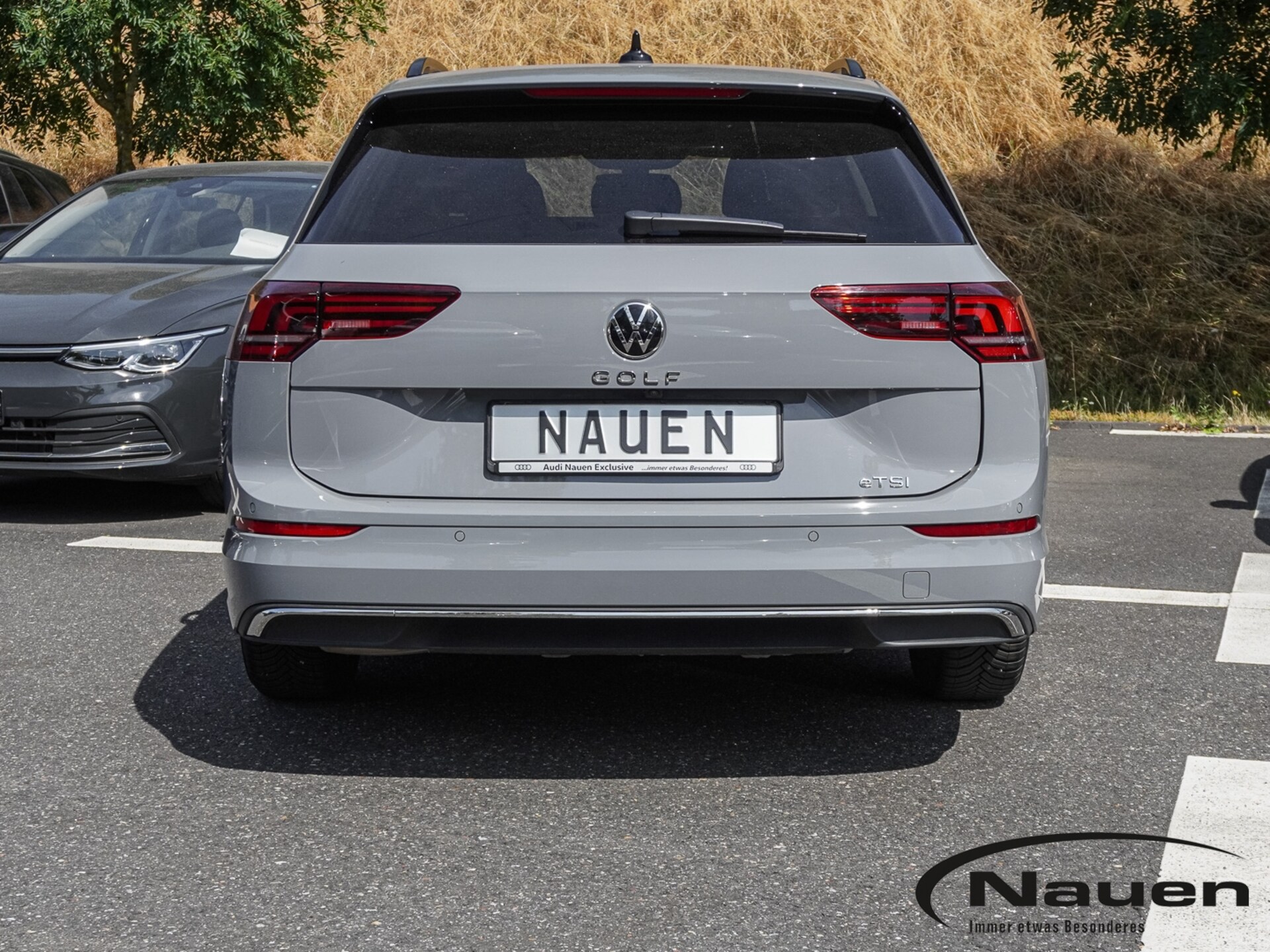 Volkswagen Golf Variant Goal