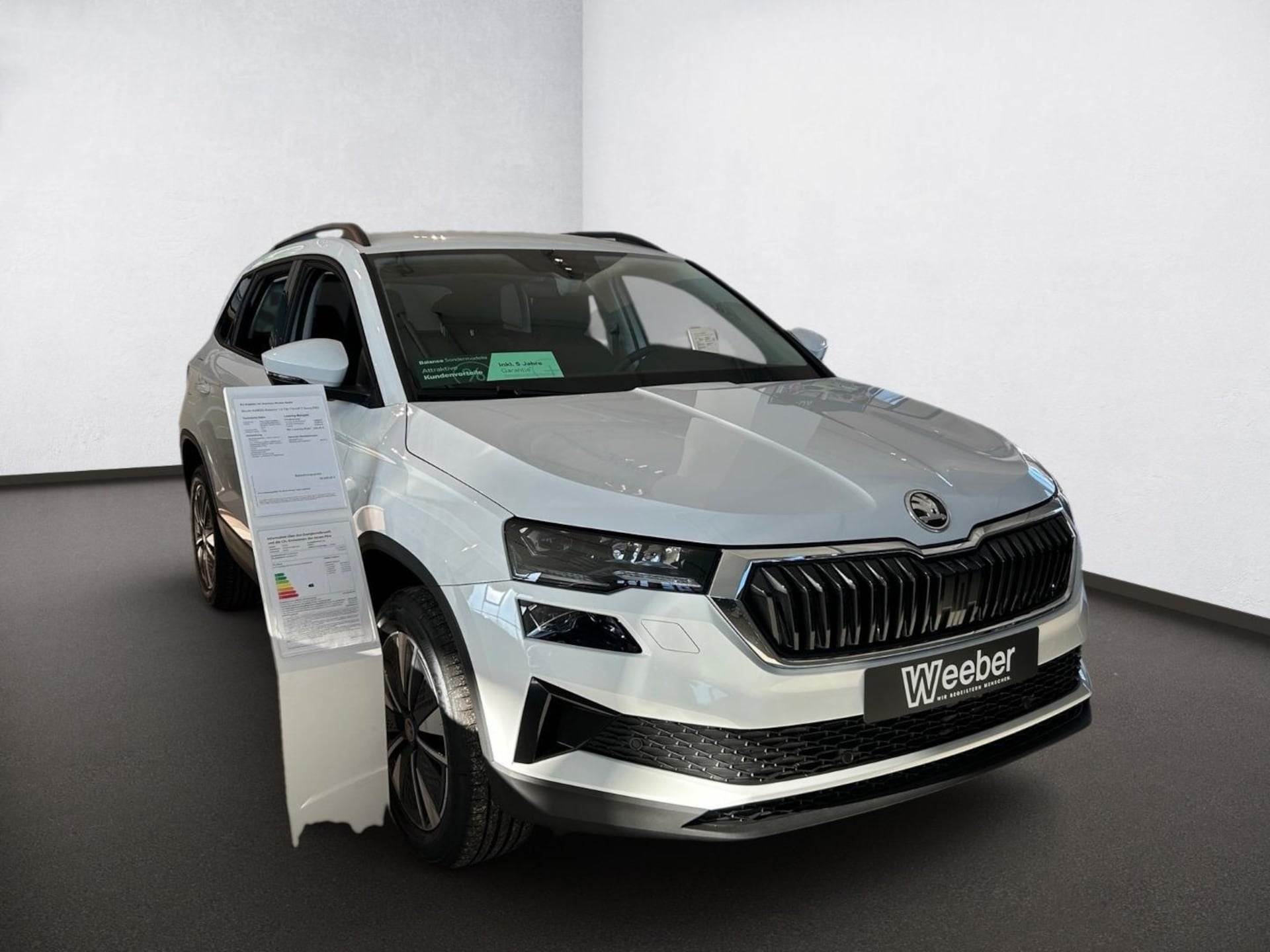 Skoda Karoq Selection