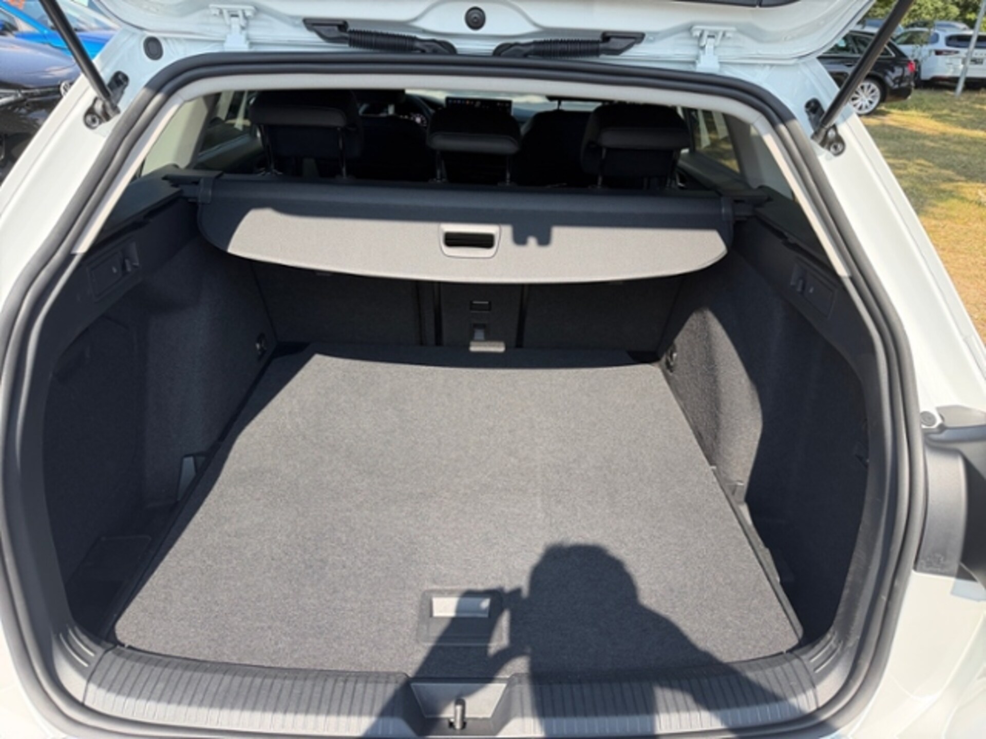 Volkswagen Golf Variant Goal