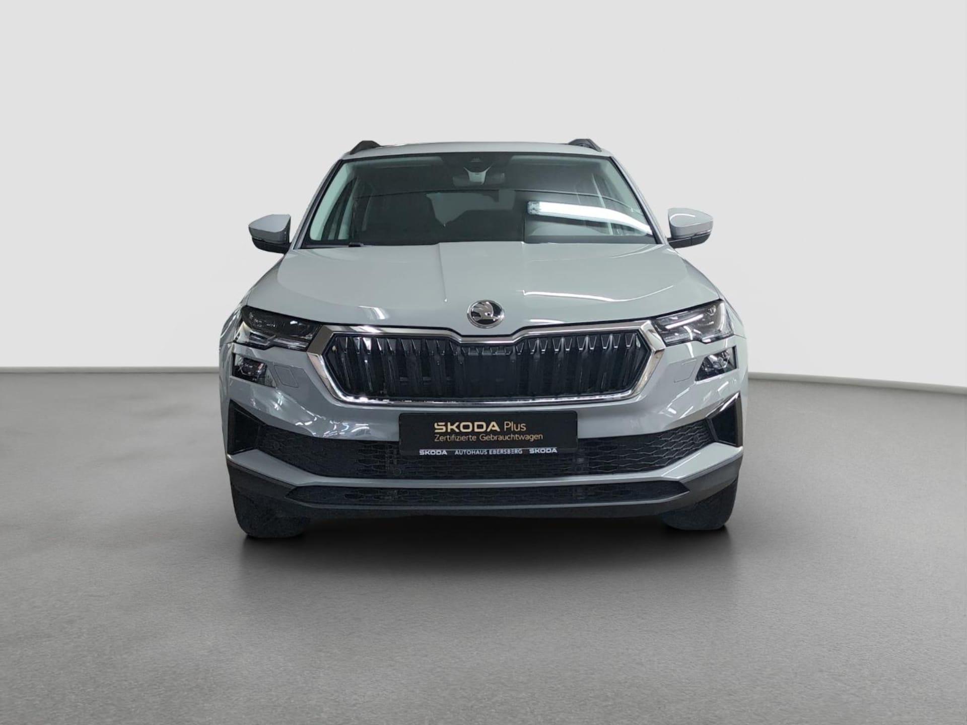 Skoda Karoq Selection