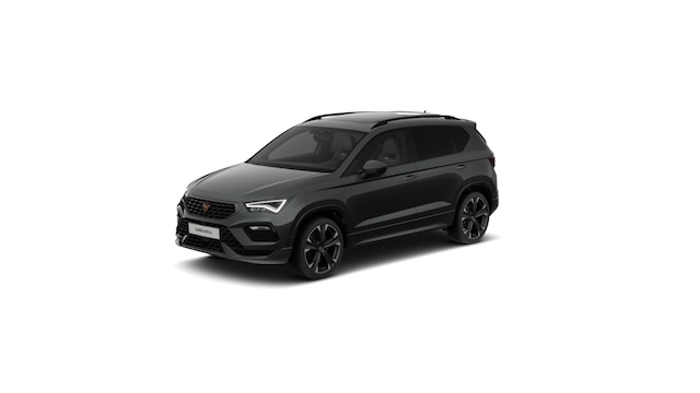 Bild des Autos 2