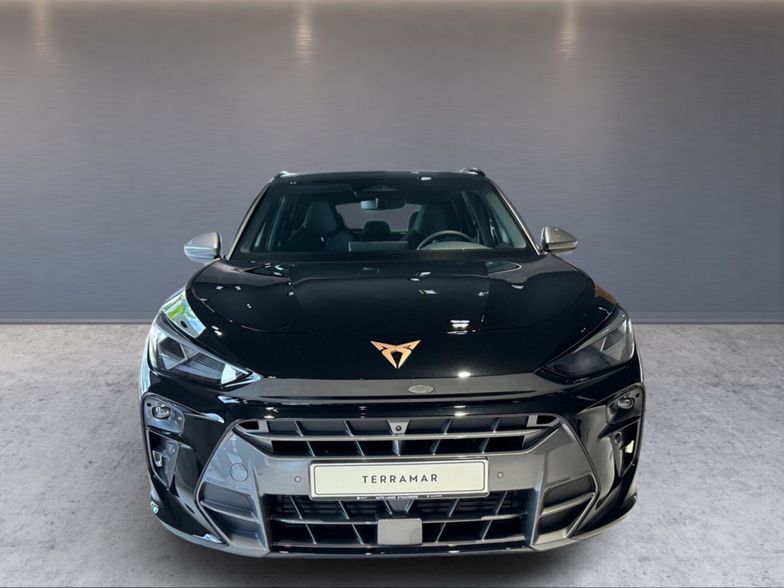 CUPRA Terramar – Bild 2