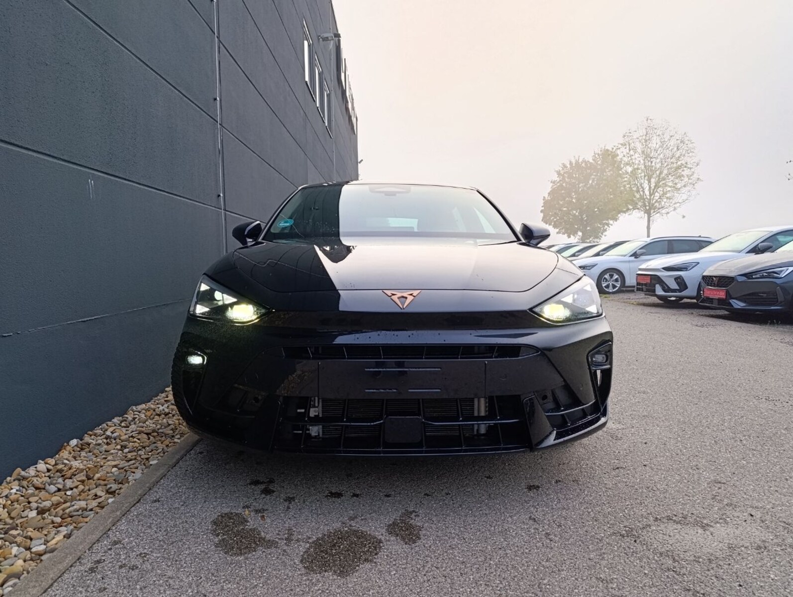 CUPRA Leon – Bild 4