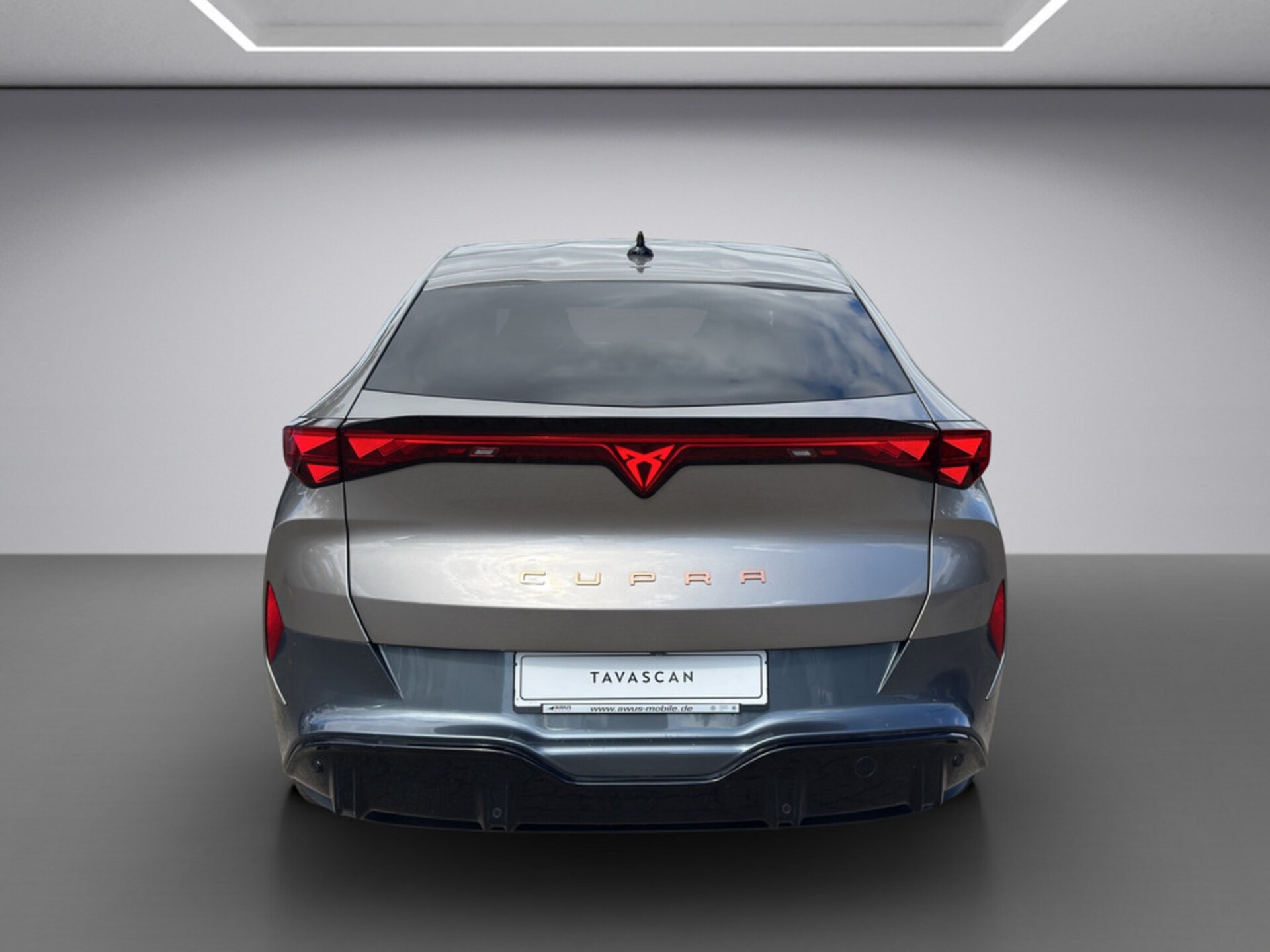 CUPRA Tavascan Endurance
