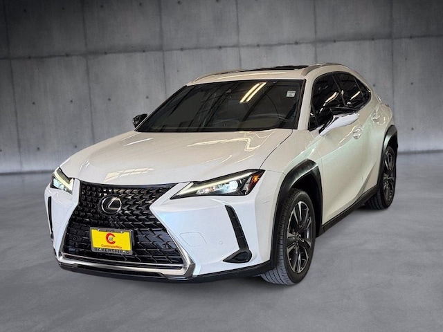 2023 Lexus UX Hybrid