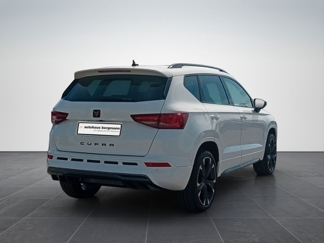 Bild des Autos 6