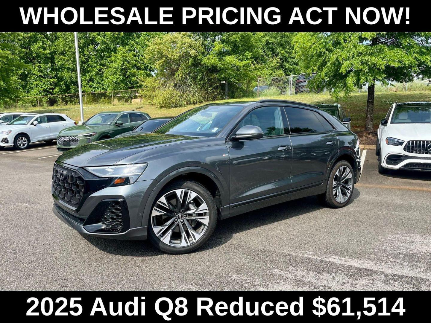 2025 Audi Q8