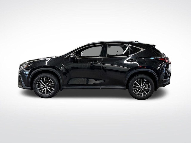 2023 Lexus NX 250