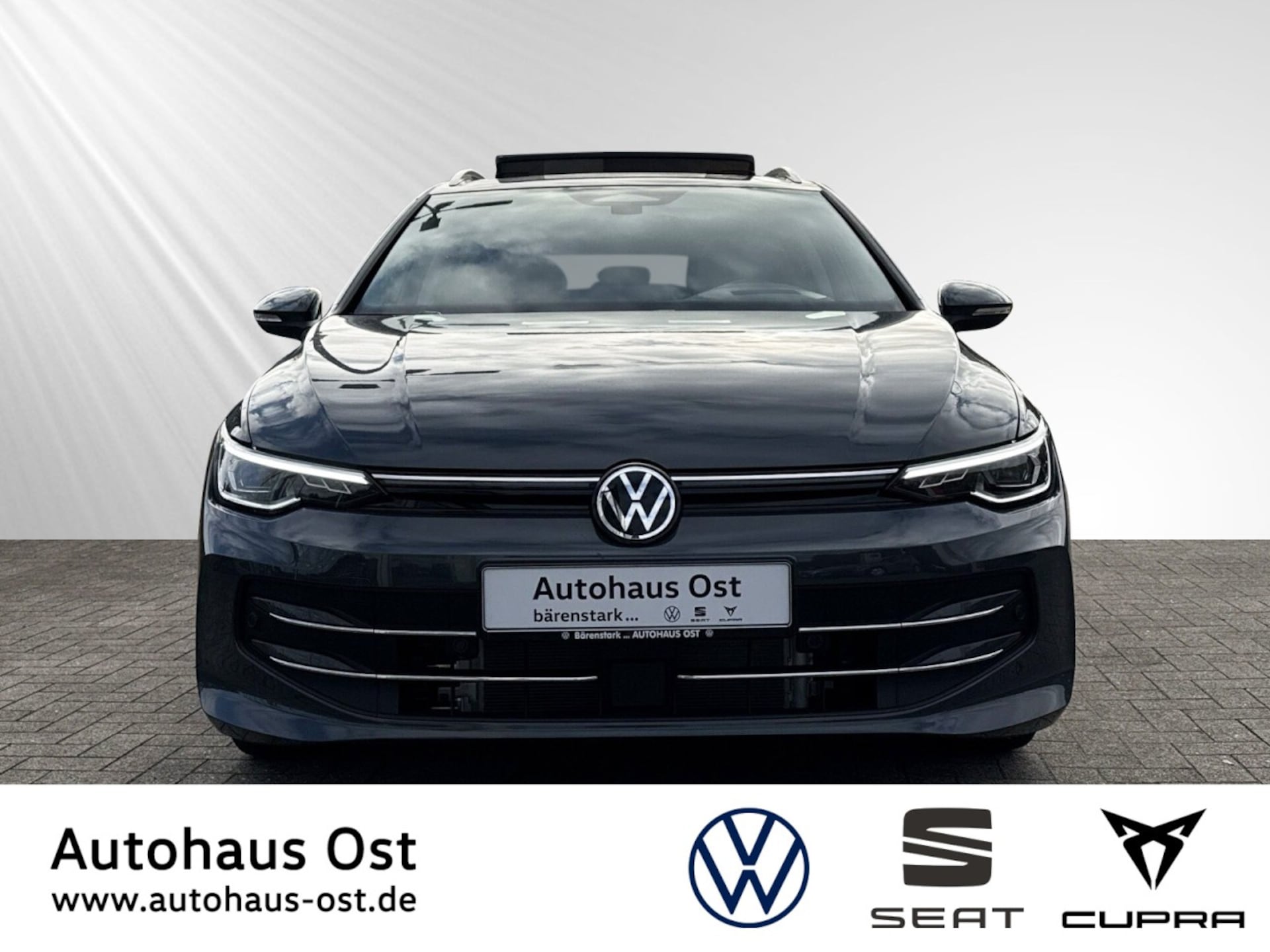Volkswagen Golf Variant Style