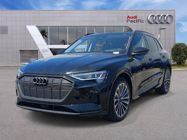 2019 Audi e-tron
