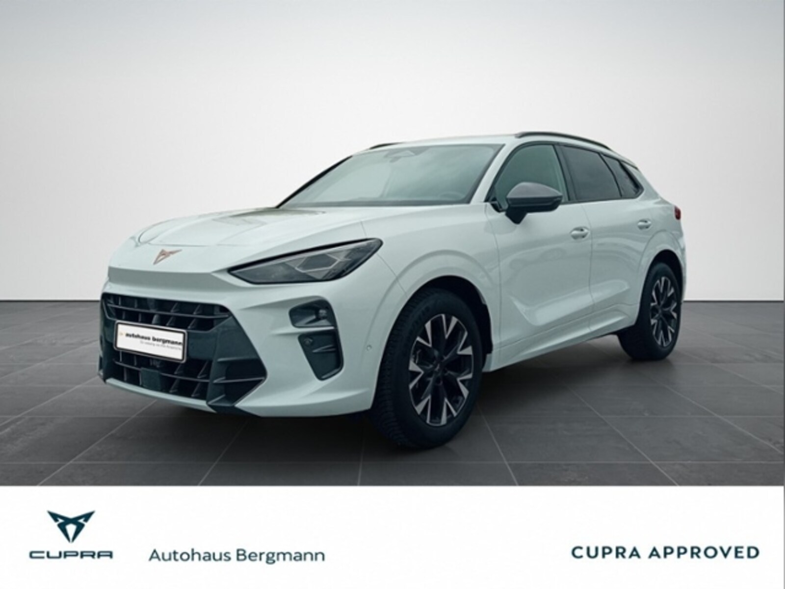 CUPRA Terramar