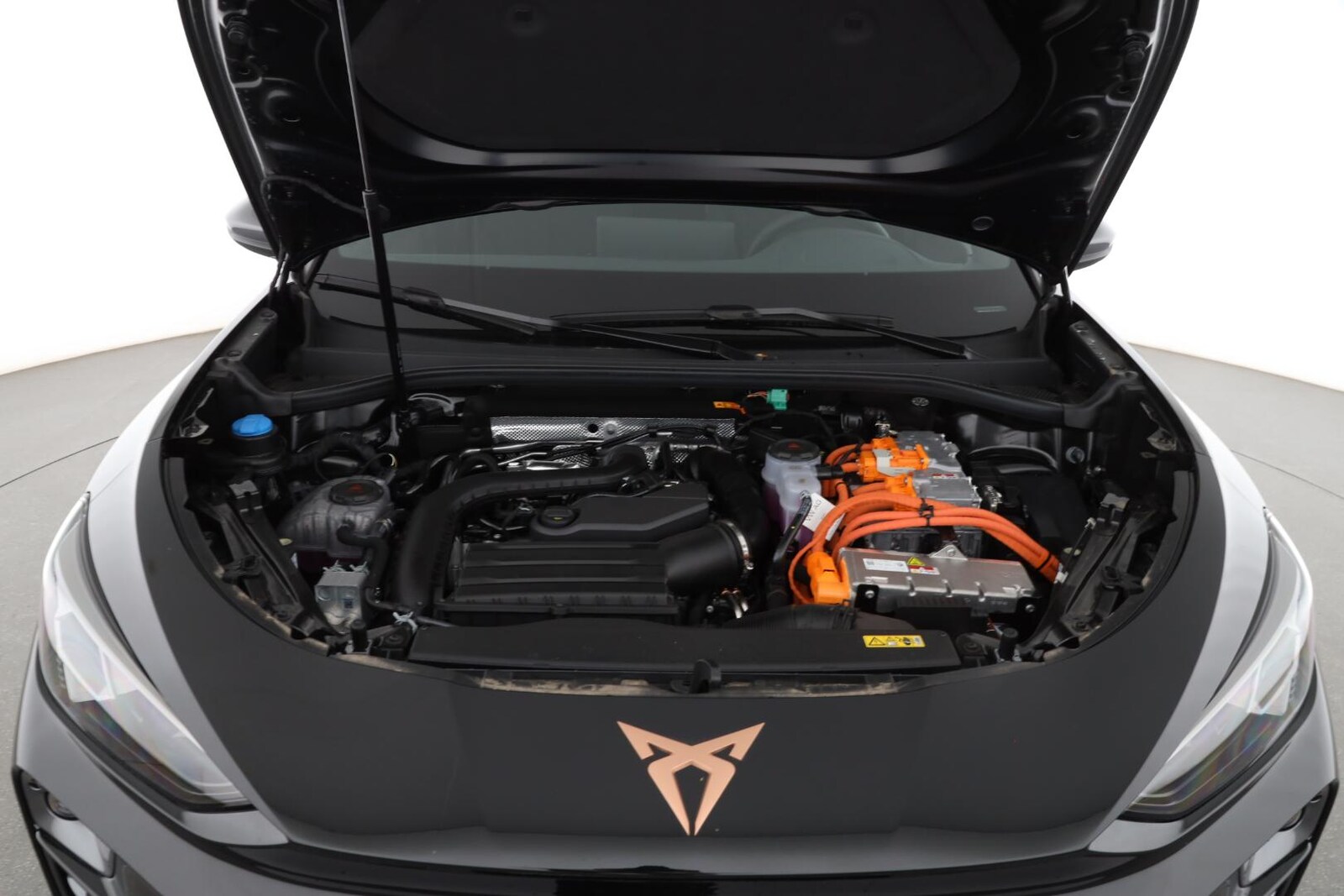CUPRA Terramar – Bild 8