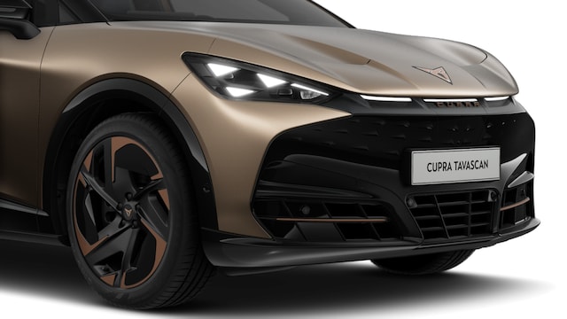 Bild des Autos 8