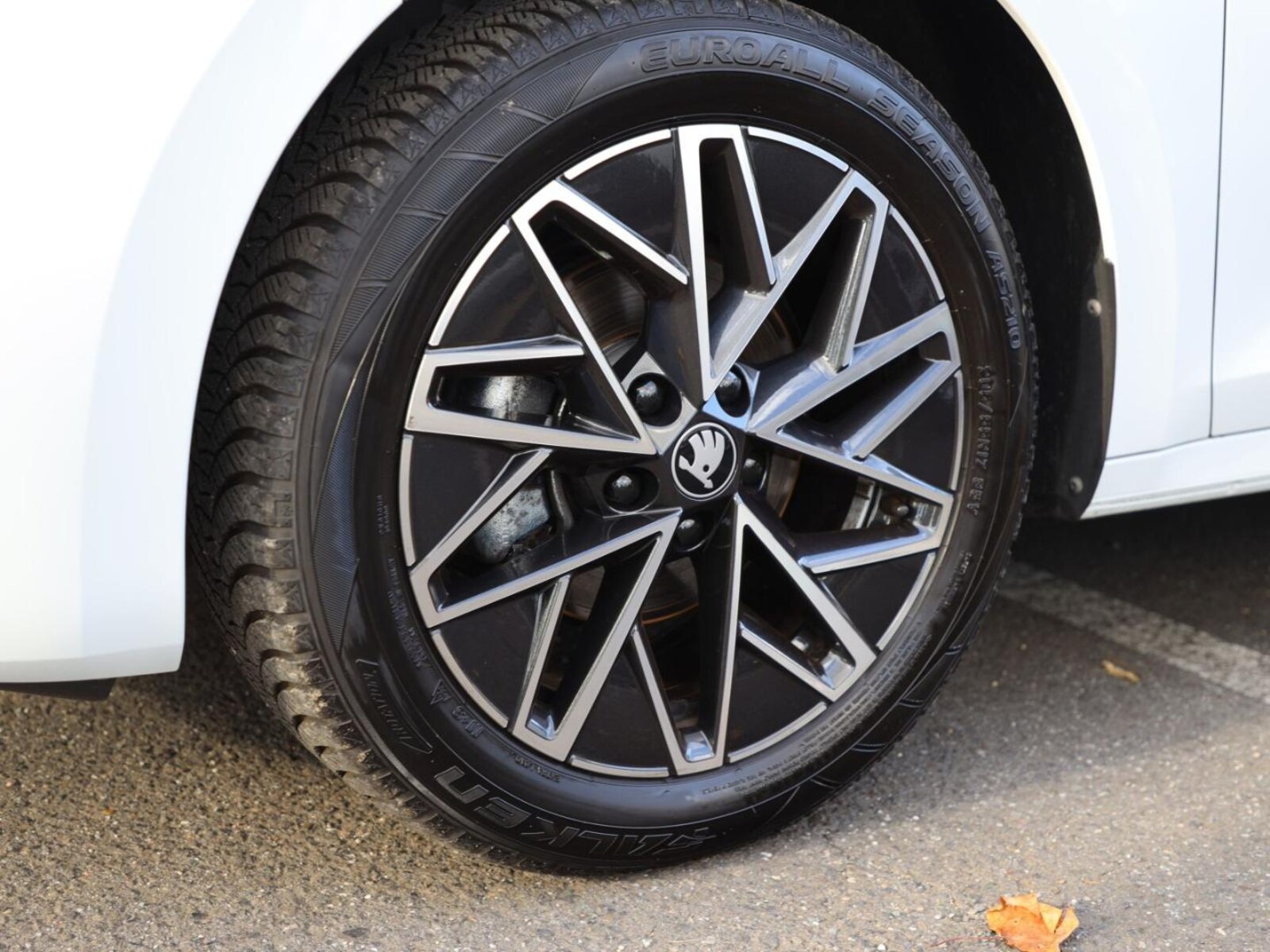 Škoda Octavia Combi – Bild 9