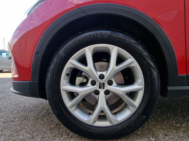 Bild des Autos 11