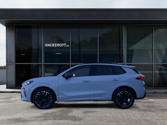 Bild des Autos 3