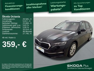 erstes Vorschaubild