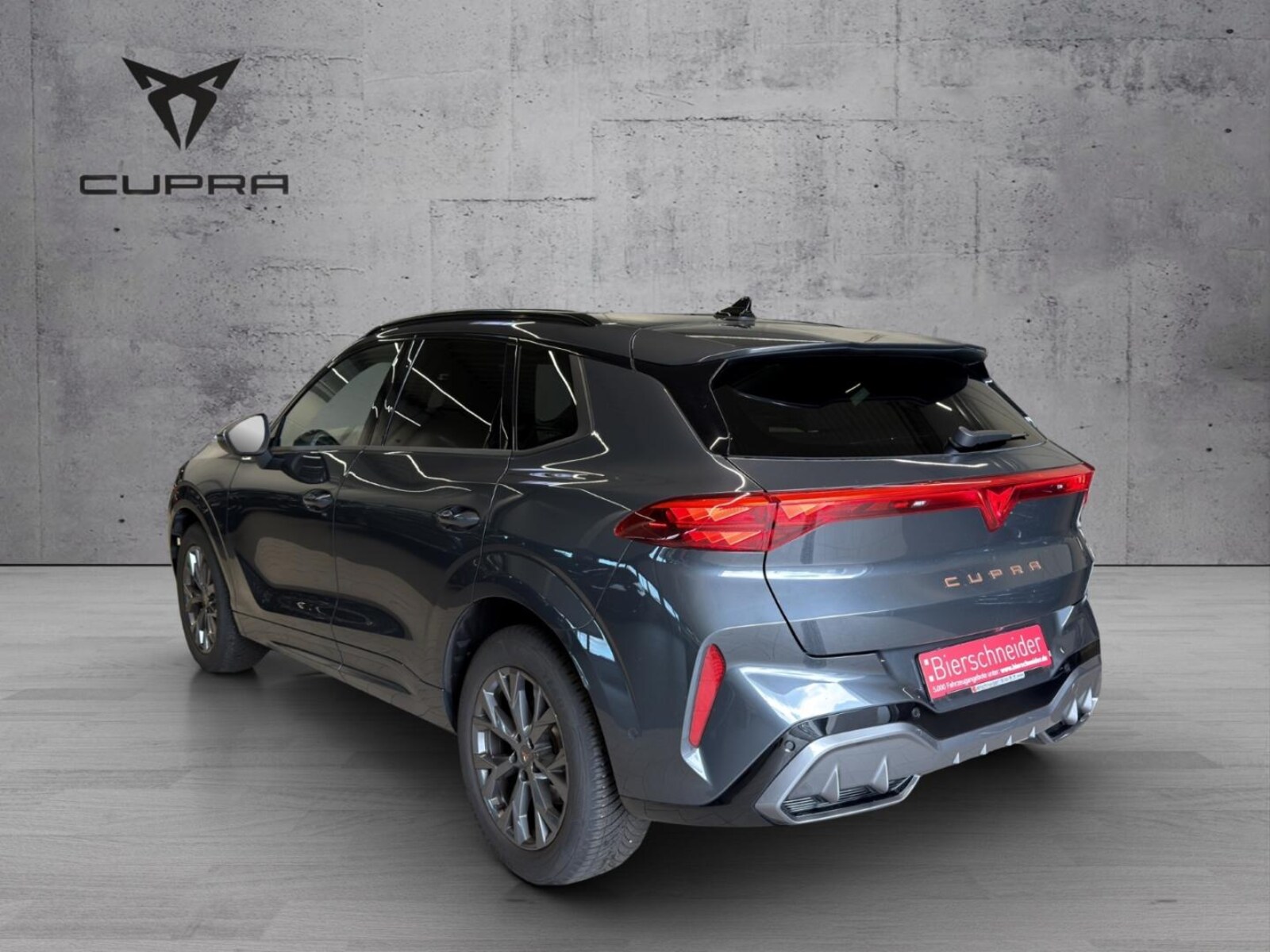 CUPRA Terramar – Bild 5