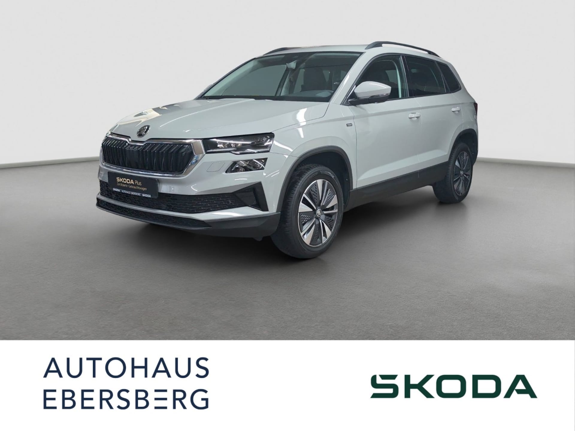 Skoda Karoq Selection