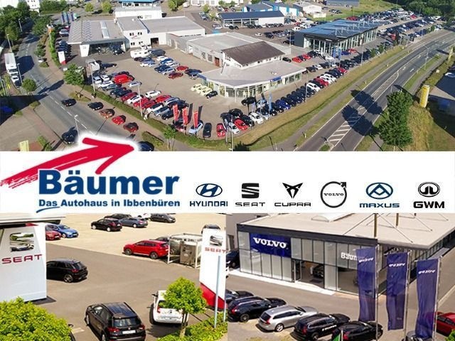 Bild des Autos 29