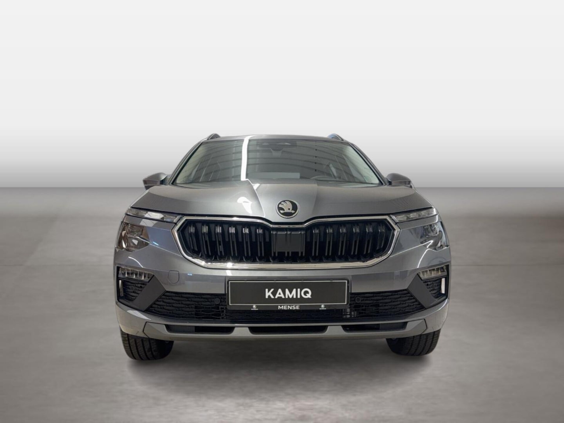 Skoda Kamiq Selection